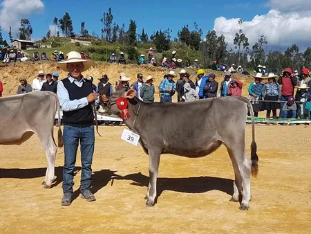 Manejo Integral de Ganado Lechero